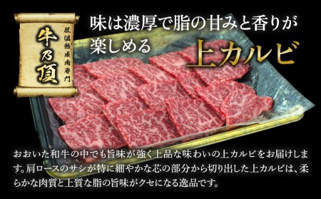 おおいた和牛 焼肉セット 上カルビ・上ロース | 焼肉セット 津久見市