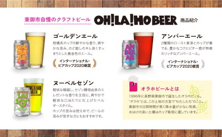 【12回定期便】クラフトビール3種飲み比べ10本セット（ゴールデンエール、アンバーエール、ヌーベルセゾン）｜オラホビール 地ビール　※インターナショナル・ビアカップ2020銀、銅受賞