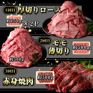 【D01011】＜定期便・全6回(連続)＞鹿児島黒牛定期便・堪能セット(全6種・合計2.8kg) 黒毛和牛 鹿児島黒牛 モモ ロース 赤身 薄切り ヒレステーキ 切り落とし 焼肉 食べ比べ 日本一 鹿児島 国産 九州産 牛肉 ビーフ 定期便【新村畜産】