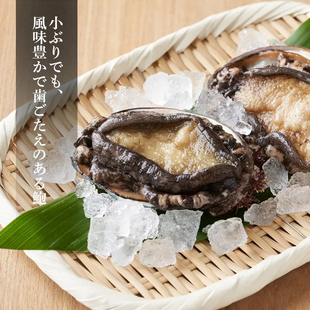 【期間限定・価格見直し】 利尻島産・あわび醤油煮 2缶《利尻漁業協同組合》