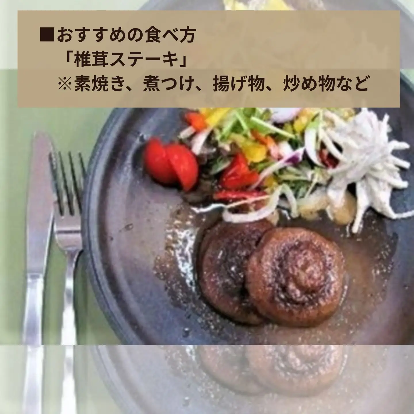 我が家で栽培してみよう　ジャンボ椎茸の原木 [111]
