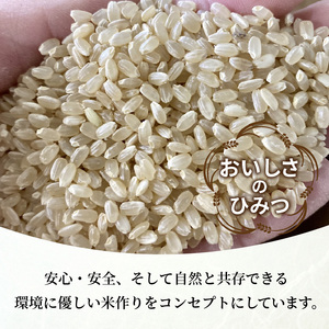 お米 【神喜舞】 玄米5kg [令和7年産]《 お米 玄米 5キロ 安心 安全 米 おこめ 国産 送料無料 ヒノヒカリ 》【2502B08403】