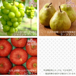 【2026年発送】【定期便3回】山形旬の果物3選（シャインマスカット/ラ・フランス/りんご）_H159(R8)