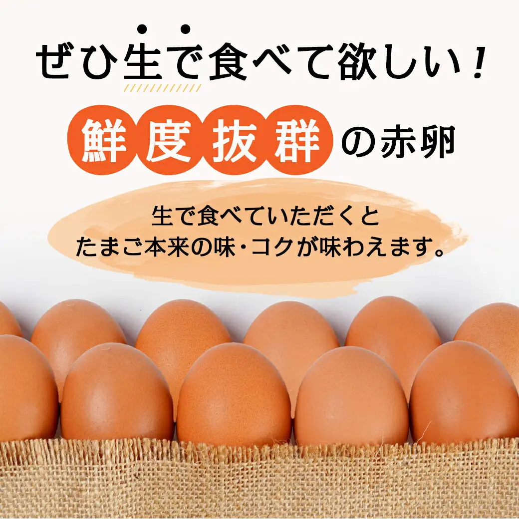 星空が綺麗な町より～「めぐみのたまご」 (MSサイズ)10kg〔17-6801〕_(都城市) たまご MSサイズ 180個前後 10kg 冷蔵 黄身のコクと深み たまごかけご飯 赤卵 栄養価が高