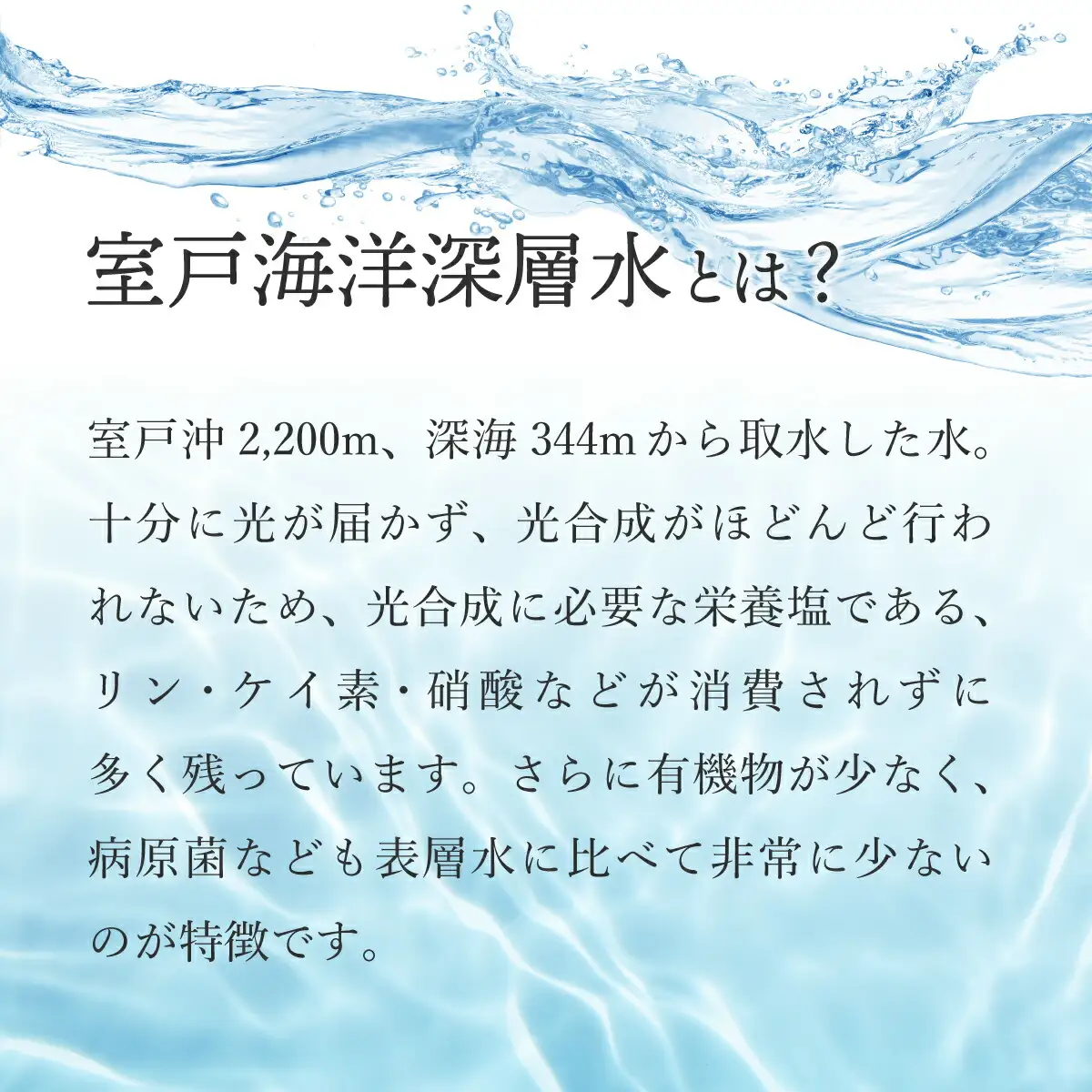 佐喜浜キクラゲ（生）　計８００ｇ（８０g×１０袋）
