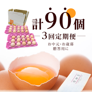 【3ヶ月定期便】名古屋コーチン卵(30個入り)×3回（計90個）　日本三大地鶏　小牧市発祥[006K01-T]コーチン卵 高品質卵 濃厚卵
