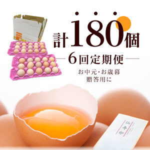 【6ヶ月定期便】名古屋コーチン卵(30個入り)×6回（計180個）　日本三大地鶏　小牧市発祥[006K03-T]コーチン卵 高品質卵 濃厚卵