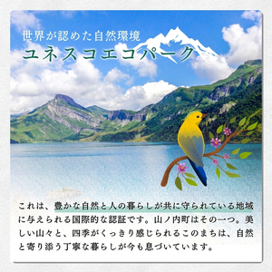 【2026年発送】志賀高原の麓で育った シナノスイート （家庭用）約10kg りんご 10kg フルーツ 果物 長野県 長野