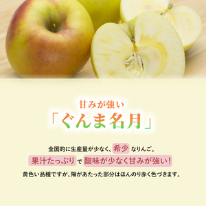 【2026年発送】志賀高原の麓で育った ぐんま名月 秀18玉 約5kg りんご 5kg フルーツ 果物 デザート 長野