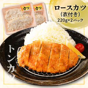【 ナンチクファクトリー 】 鹿児島県産 豚かつ ・ 味噌漬け セット 計 1kg （C） K073-004 肉 豚肉 惣菜 総菜 冷凍