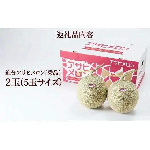メロン 北海道 追分アサヒメロン〔秀品〕2玉（5玉サイズ）安平町産【1395534】