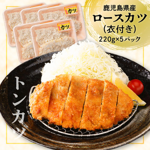 【 ナンチクファクトリー 】 鹿児島県産 豚ヒレカツ ・ ロースかつ 計 10枚 （H） K073-009 肉 豚肉 惣菜 総菜 冷凍