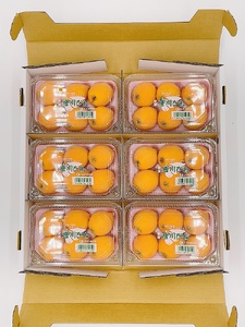 びわ 唐川びわ 350g×6パック 【2026年5月下旬以降発送】ブランド認定品 生 季節限定 数量限定 人気 枇杷 フルーツ 果物 旬 甘い お取り寄せ 伊予市 愛媛｜B124