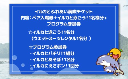 イルカと泳ごう！（イルカとふれあい体験） | イルカ 津久見市