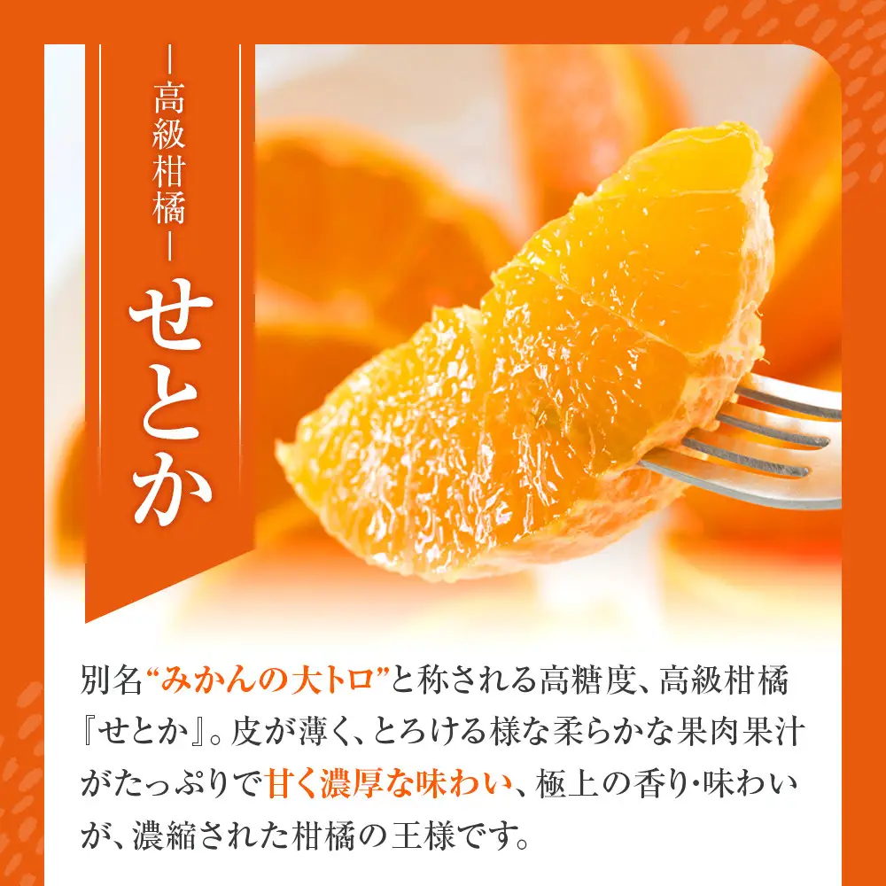 せとか ＜別名-みかんの大トロ＞ 和歌山県有田川町産 オレンジ 訳あり 8kg