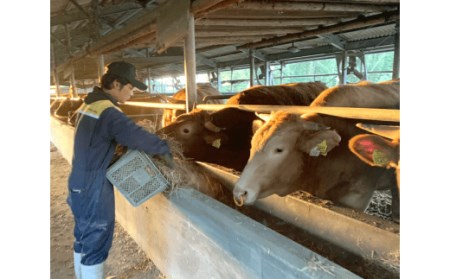 熊本県西原村産 あか牛 バラ しゃぶしゃぶ用 合計600g （300g×2）