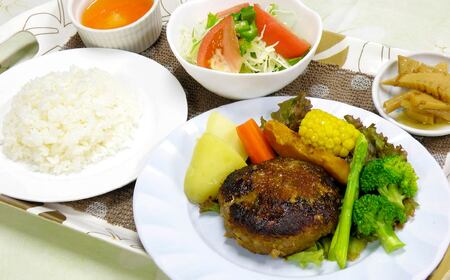豆腐ハンバーグ 合計990g （165g×6個）
