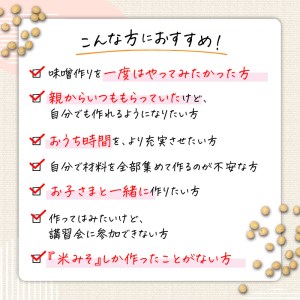 「かねよみそ しょうゆ」麦味噌 手作りキット 3kg K058-004 調味料