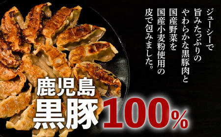 【第1回 日本全国！ご当地冷凍食品大賞 2024-2025 優秀賞受賞！】鹿児島黒豚100%餃子 32個入り K027-007 肉 豚肉 惣菜 総菜 冷凍