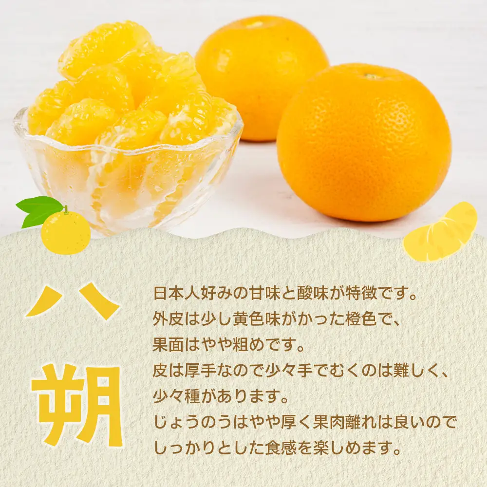 【産地直送】☆八朔☆サイズ混載（M～2L）☆9kg