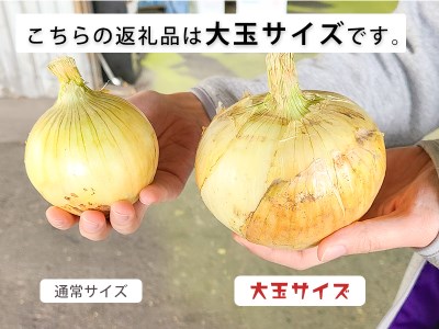【大玉５㎏】兵庫県認証★特別栽培★淡路島新たまねぎ