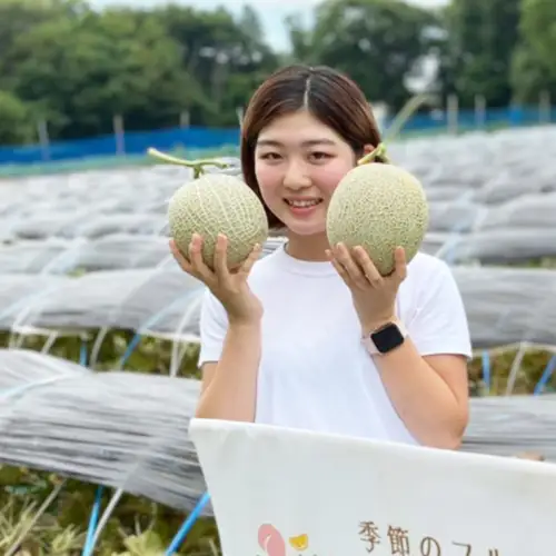 【先行受付】メロン タカミレッドメロン 1箱 3玉～5玉  2026年発送