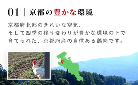 ＜京丹波あじわいどり＞小分け 京都府産 鶏ミンチ (150g×14袋・計2.1kg) ふるさと納税 福知山市 鶏肉 とり肉 小分け 鶏ミンチ とりみんち 冷凍 真空パック ハンバーグ 離乳食 鍋 低脂肪 ヘルシー 国産 【fc-BK025】【三栄ブロイラー販売株式会社 福知山工場】