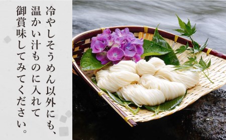 【定期便 年6回】手延べ そうめん 3kg （50g×60束）  / そうめん 島原そうめん 手延べ 麺 素麺 / 南島原市 / 池田製麺工房 [SDA043]