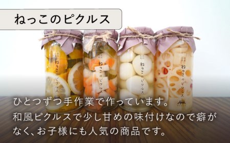  おばあちゃんのふるさと小包 NCK001 味噌 ピクルス 米