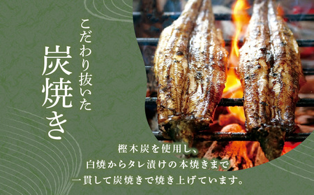 「うなぎ処 さいしょ」うなぎの蒲焼セット 3切×2パック K030-001 魚 惣菜 総菜