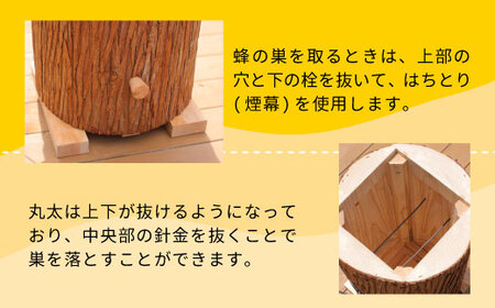 タカブ用飼育箱 蜂 巣箱 タカブ 蜂の子 木箱 養蜂 ハチミツ 蜂蜜 クロスズメバチ 飼育 40500円