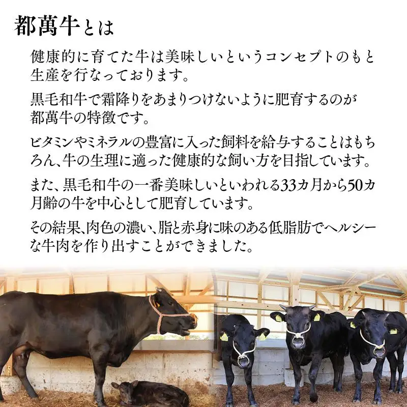 黒毛和牛『都萬牛』焼肉600ｇ 国産牛肉＜6-5a＞
