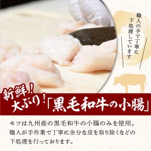 【黒毛和牛専門 もつ鍋こうづき】もつ鍋セット白味噌味2～3人前 _KO0105