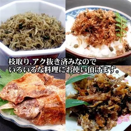 兵庫県養父市産 冷凍朝倉山椒 500g(6月下旬以降発送予定)【配送不可地域：離島】【1399259】