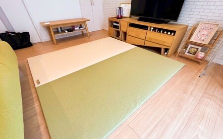 ポータブル 畳 HERINAIYAN 銀白色 900×600mm | BAN-SICK 畳 たたみ ポータブル アウトドア