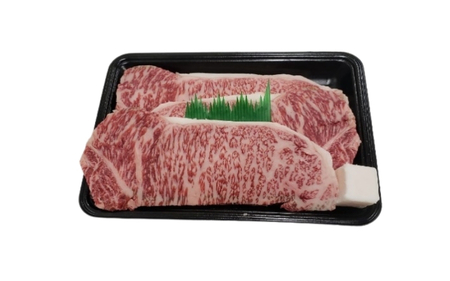 (冷凍)伊賀肉 森辻の伊賀牛　熟成サーロインステーキ約200g×3枚【mrtj0004-2】