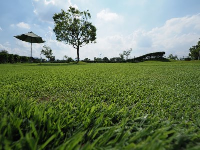広陵パークゴルフコース１ラウンド特別利用券１０枚セット//広陵町 ゴルフ 利用券