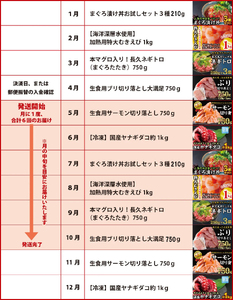  海の幸 定期便【全６回】 漁師町 尾鷲 からお届け！ 厳選 サーモン ブリ マグロ ネギトロ えび タコ ＜300セット限定＞ 小分け バラ凍結 ストック 便利 新鮮 鮮魚 さかな たっぷり 家庭用 おかず 手軽 簡単 冷凍  三重県 OW-9