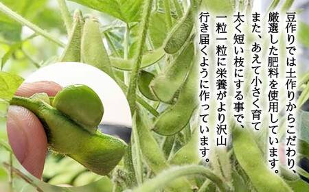 ≪2026年先行予約≫【與惣兵衛】山形県産 神の枝豆 だだちゃ豆 約2kg 2026年8月上旬から順次発送 F2Y-5462