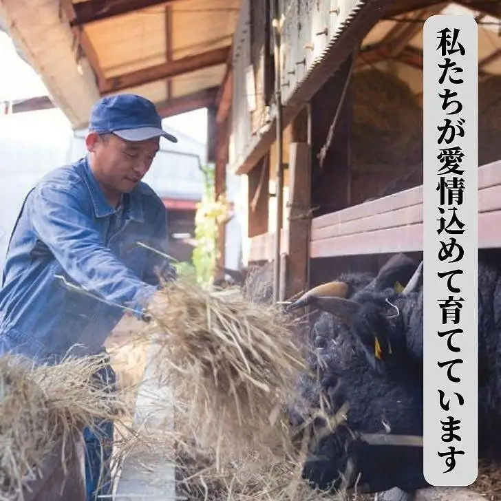 博多和牛 特選しゃぶしゃぶ(400g)