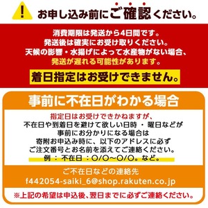 佐伯真牡蠣 鶴見産 (約1kg) 牡蠣 カキ 新鮮 小分け 生牡蠣 生カキ カキフライ 鍋【生食可】【EW061】【Up】