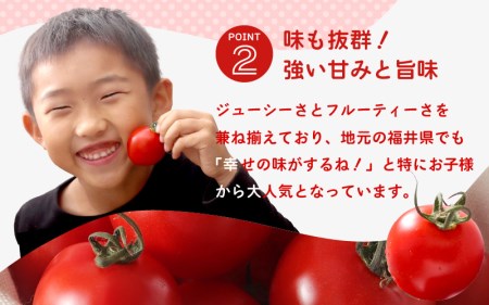 【先行予約】 有機減農薬 フルーツトマト 2kg 薄皮完熟 【2026年10月上旬以降順次発送予定】 【とまと ミディトマト 中玉トマト 野菜 やさい 新鮮 生食 アレンジ ジャム トマトソース サラダ 産地直送 国産】 [A-16207]