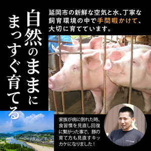 延岡よっとん 上ロースブロック約1kg N003-YB129