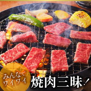 宮崎牛モモ焼肉800g N023-YZC005