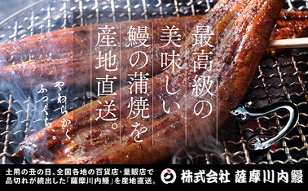 DS-612　国産きざみうなぎ ごぼう入り（タレ付き） 合計1700g(85g×20袋)