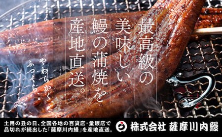 ZS-640 国産きざみうなぎ ごぼう入り（タレ付き） 合計170g(85g×2袋) 