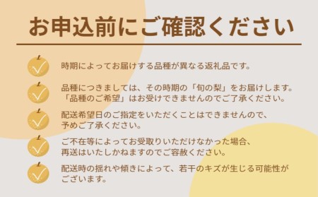 【予約受付中・2026年8月中旬頃より順次発送】旬の美味しさをお届け！ 徳島県鳴門市産 「 梨 」 約5kg 【数量限定】幸水 豊水 あきづき 新高 フルーツ 果物 ナシ  季節の梨 旬の梨 秋の梨 鳴門の梨  鳴門の果物 完 季節のフルーツ  梨