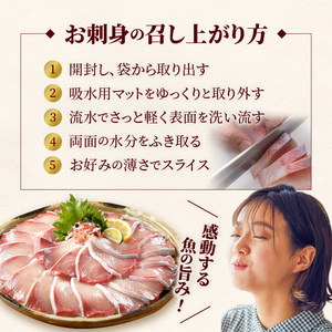 【お楽しみ定期便】延岡産活〆鮮魚の豪華お刺身（12ヶ月定期便）N019-YYG0191