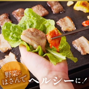 宮崎牛・宮崎ブランドポーク焼肉セット（10～15人前） N023-YZG006