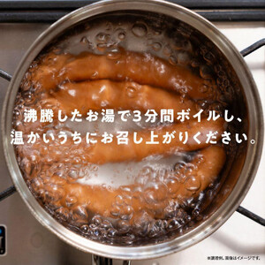 【ふるさと納税】定期便【6ケ月連続お届け】シャウエッセン　スペシャルロングセット| ウインナー 北海道　ウインナー _00607